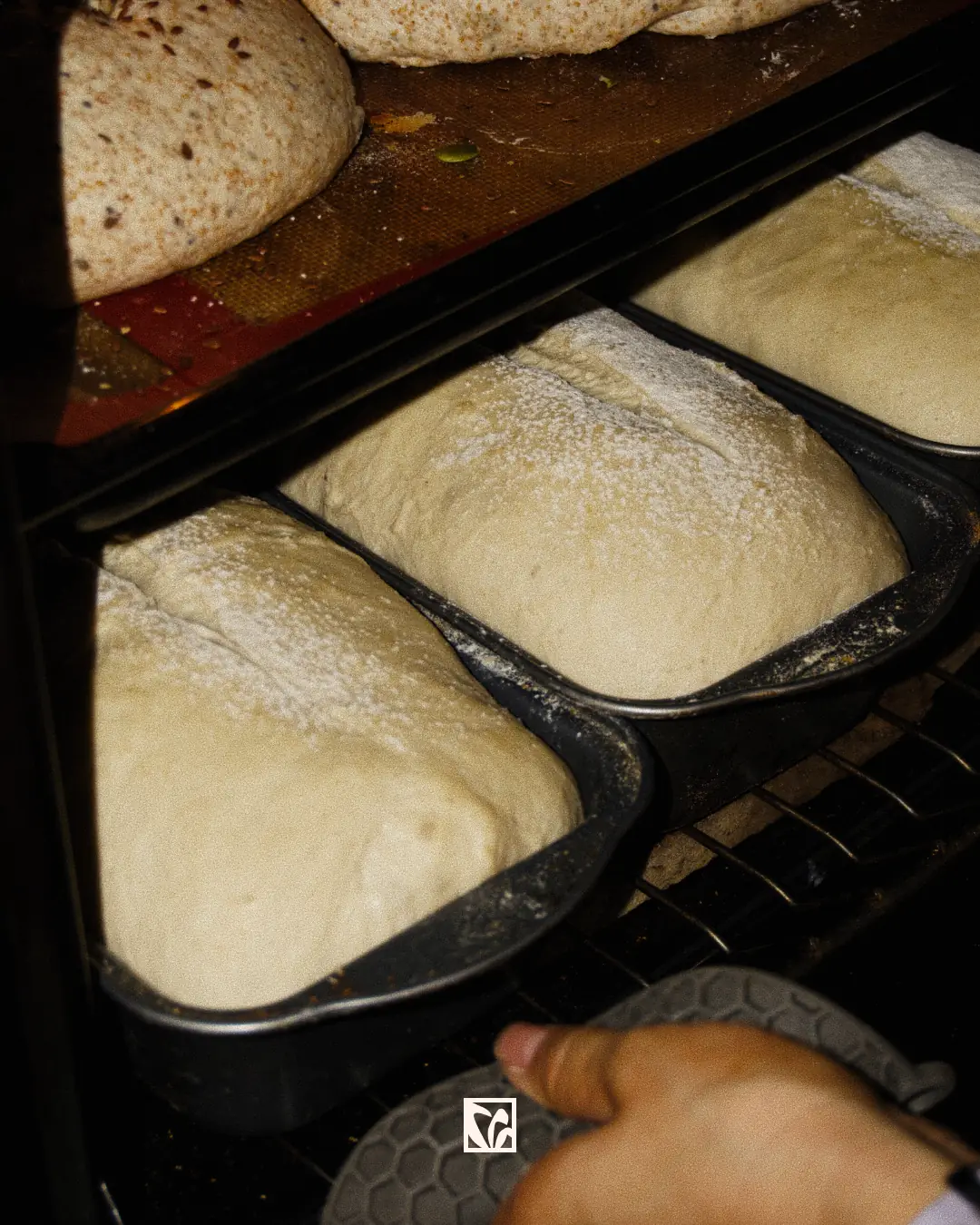 Moldes con masa fermentada entrando al horno