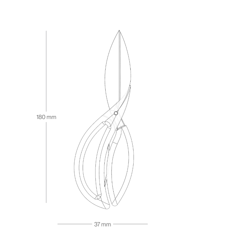 Vida Scissors — dimensions
