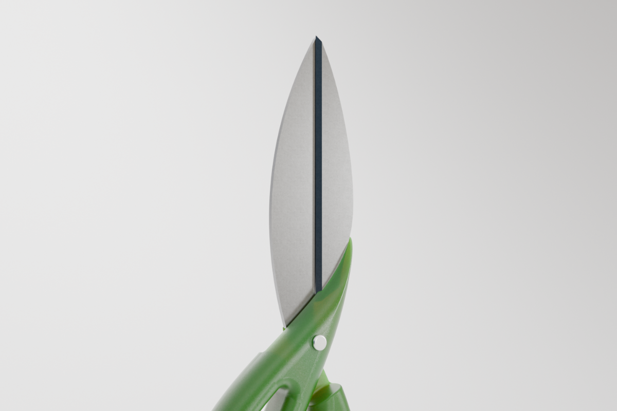 Vida Scissors — blade detail